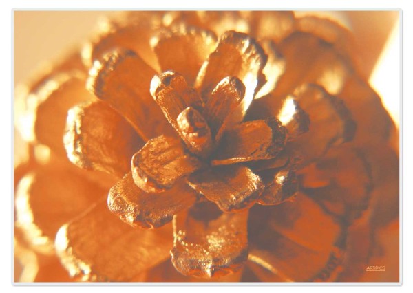 Tischset Platzset abwaschbar Goldzapfen von ARTIPICS Weihnachten Kunststoff 42x30 cm